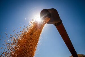 Goiás encerra a safra 2022/2023 com recorde na produção de grãos