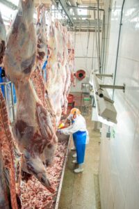 De abril a junho de 2023, Goiás abateu 913.738 bovinos: um aumento de 25,9% em relação ao segundo trimestre do ano passado